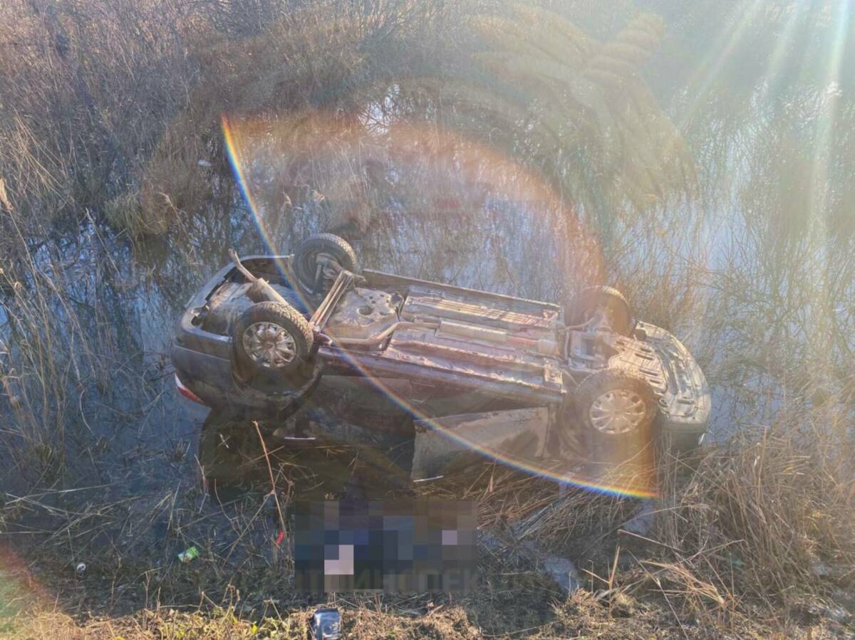 В Чистопольском районе иномарка вылетела в кювет, водитель погиб