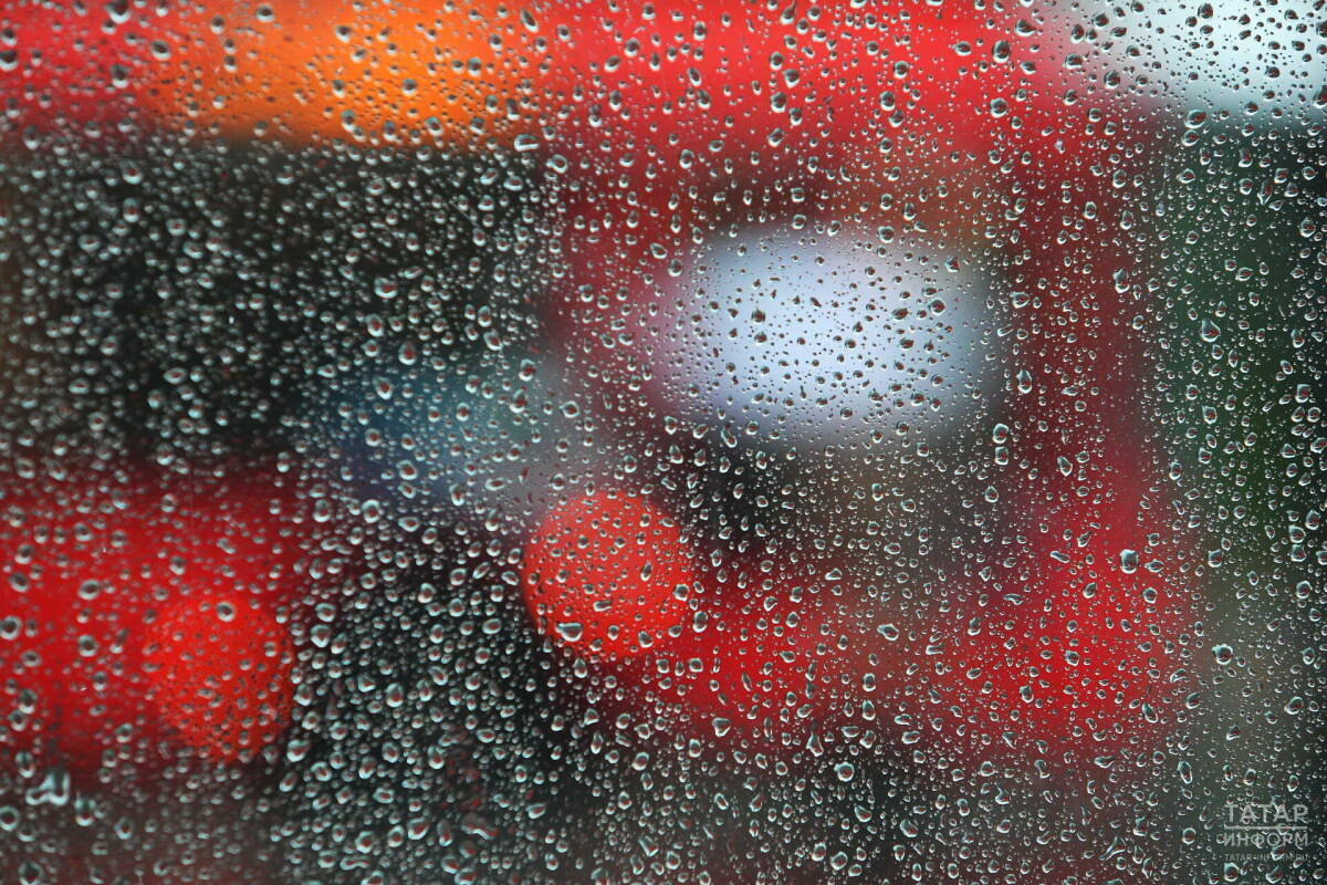 19 ноября в Татарстане ожидаются осадки в виде дождя и мокрого снега