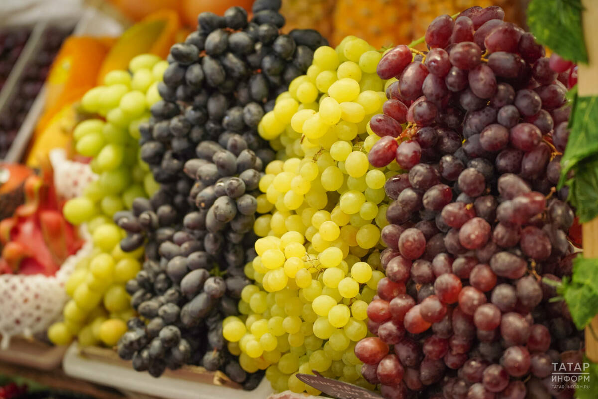 Россия возобновила импорт винограда из Грузии после девятимесячного перерыва