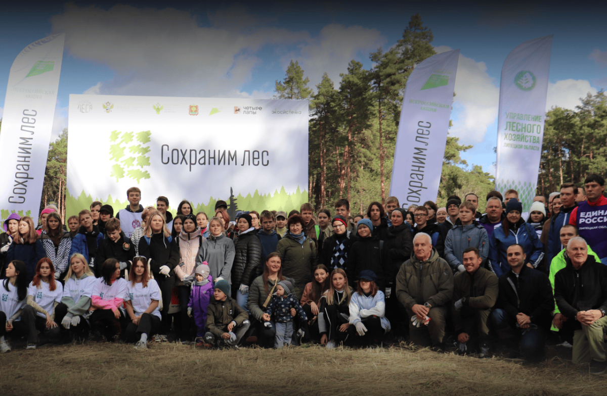 Более 68 млн деревьев высадили участники Всероссийской акции «Сохраним лес»