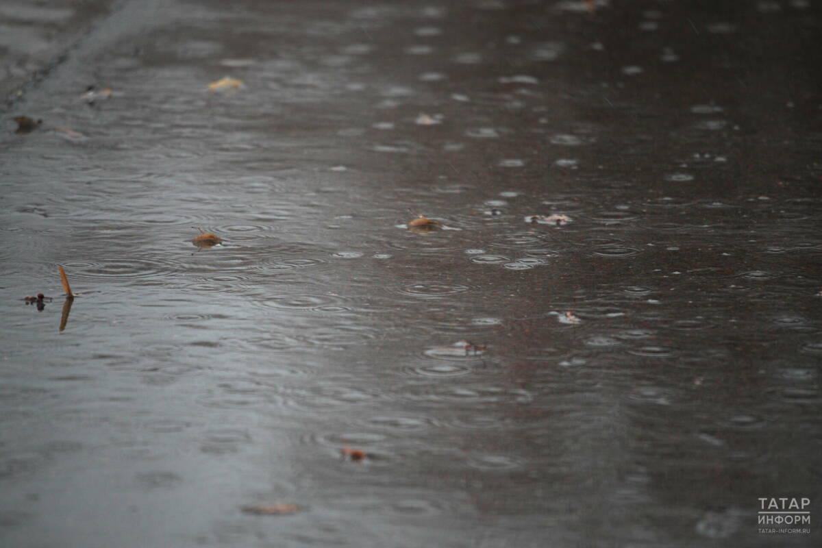 Дожди и сильный ветер вернутся в Татарстан на этой неделе