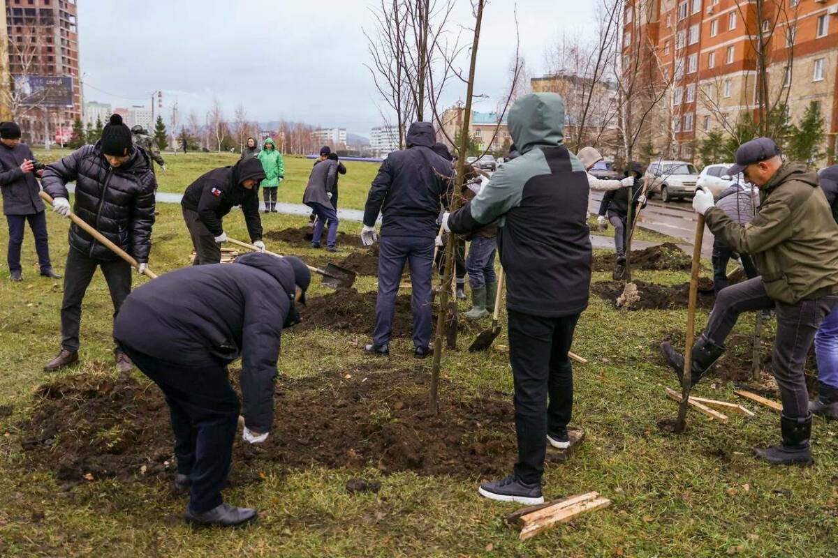 В Альметьевске высадили деревья в честь Дня народного единства и Дня Конституции РТ