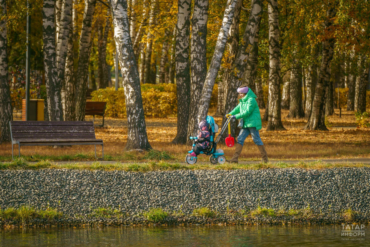 Пособие по уходу за ребенком до 1,5 года: кому положено в Татарстане