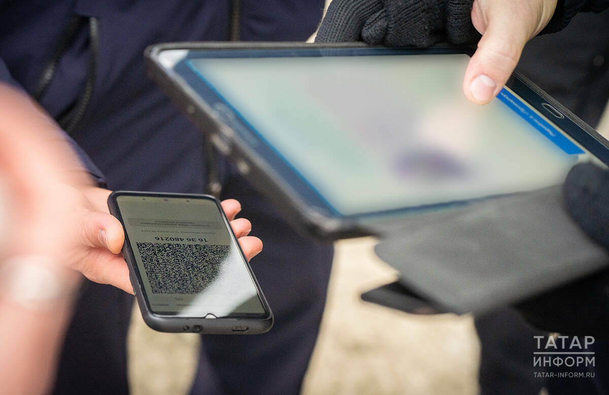 «Пройдешь по QR-коду – потеряешь все деньги»: как мошенники заманивают на свои сайты