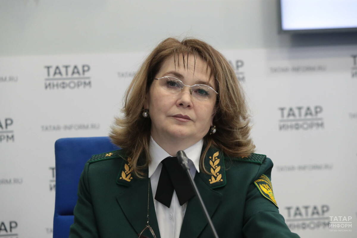 Росприроднадзор сообщил о снижении валовых выбросов в атмосферный воздух