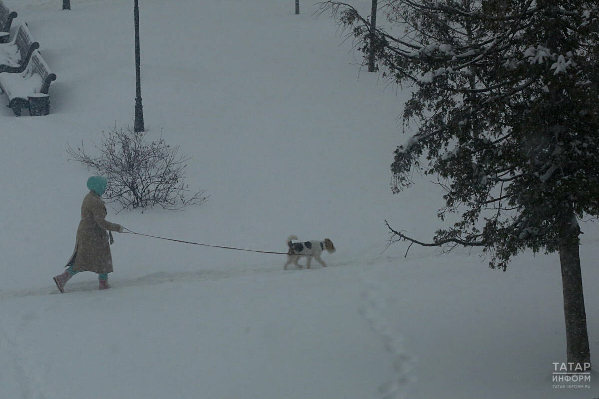 Из-за теплого фронта в Татарстане ожидаются метели, гололед, туман и до нуля градусов