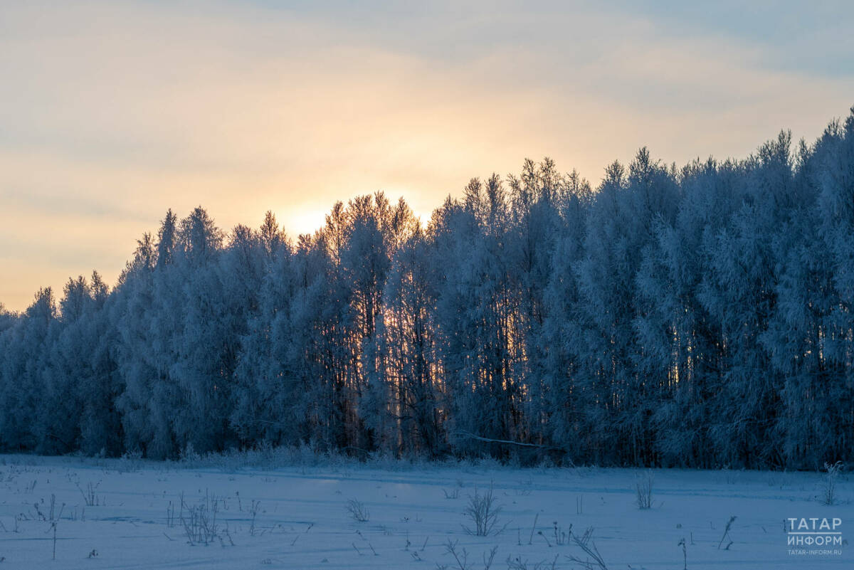 Синоптик Шувалов: «Резкое похолодание до -30 градусов придет в Татарстан на этой неделе»