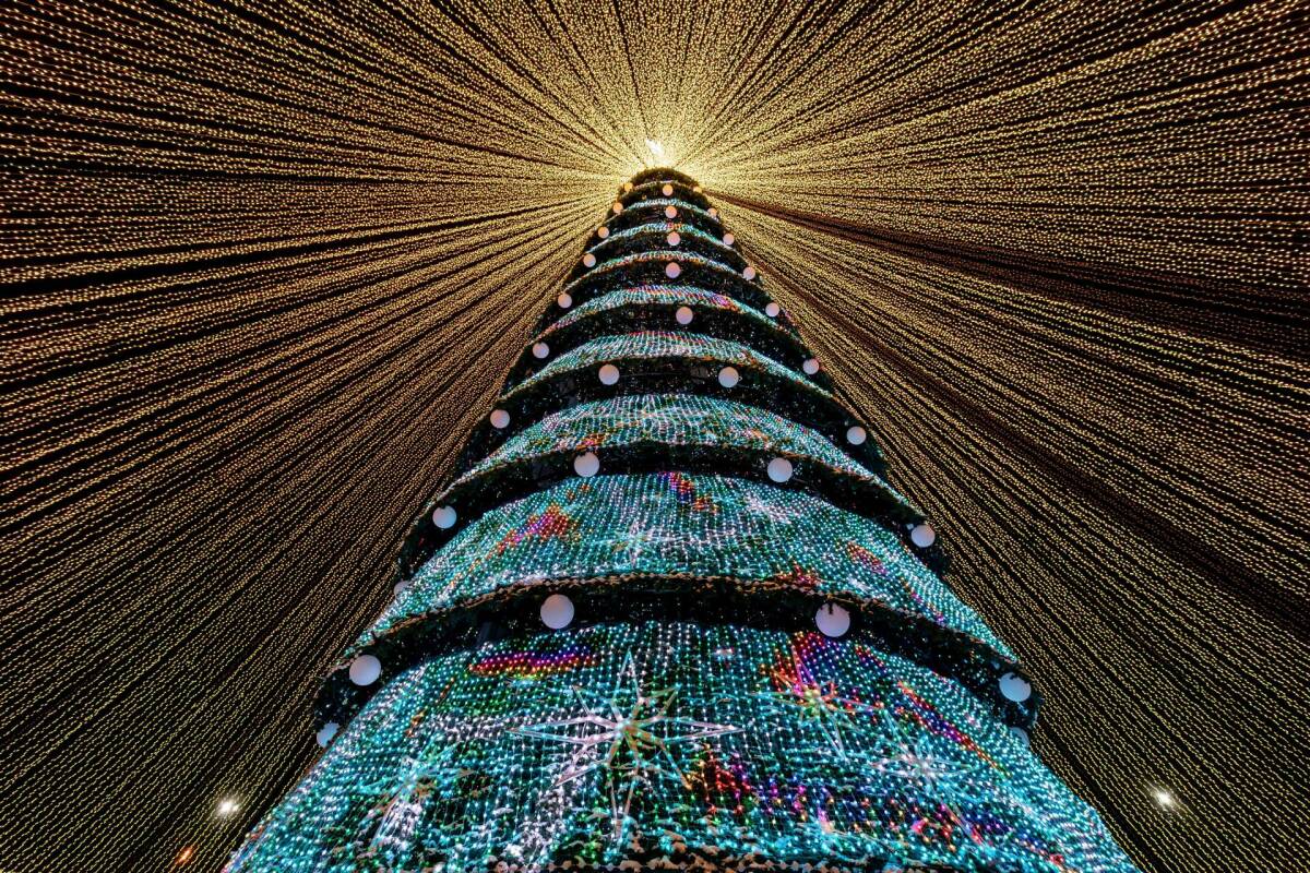 Волшебство началось: в Казани зажгли огни на центральной елке у «Чаши»