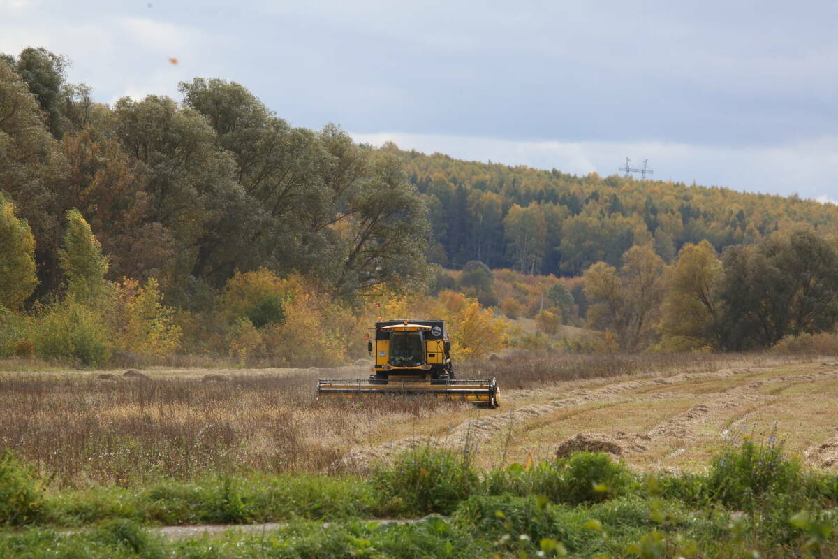 Рост производства сельхозпродукции по итогам 2025 года в Татарстане составит 7%