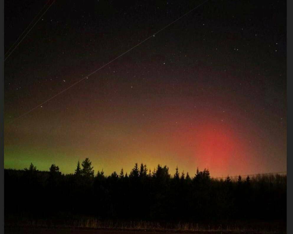 Астрономы рассказали о возможных полярных сияниях в новогоднюю ночь