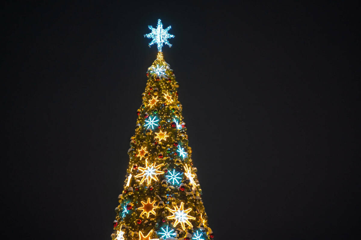 На Новый год в РТ спокойная зимняя погода придет на смену метелям и сильному ветру