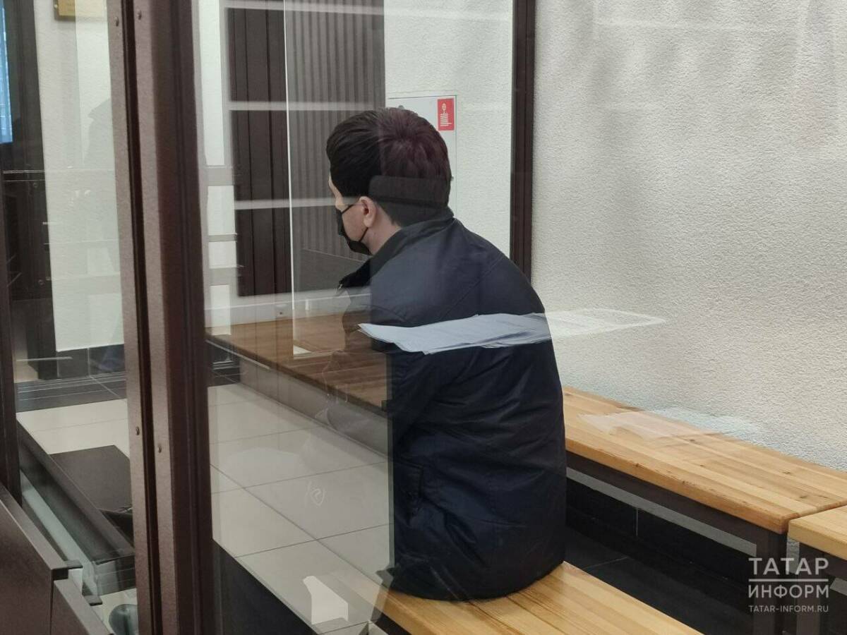 Суд избрал меру пресечения депутату, ответственному за отлов собак в Васильево