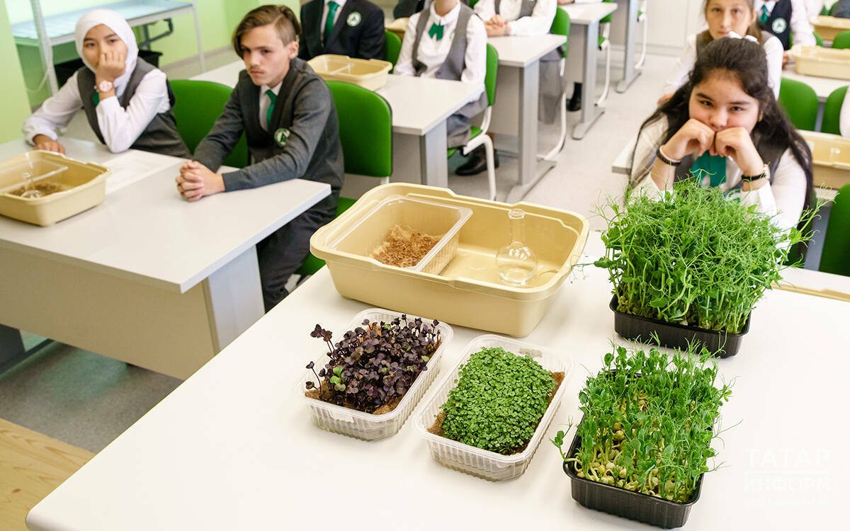 В Татарстане разработают уникальную методику работы агроклассов