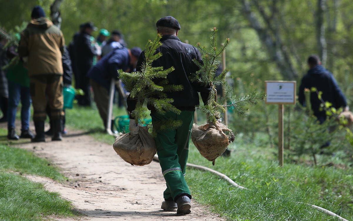 Кузюров о планах-2025: закупка «армии» БПЛА и 500 тыс. рублей для молодых лесников