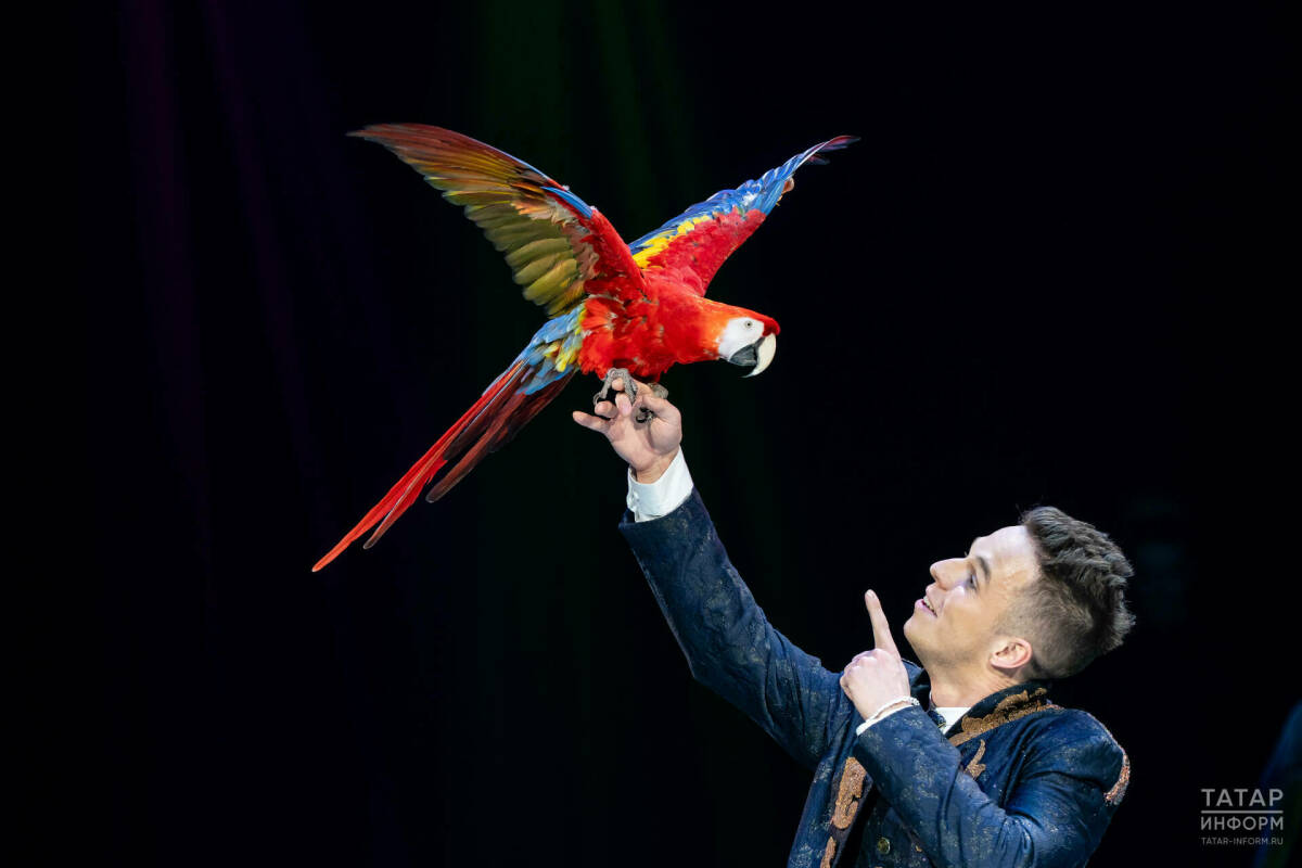 «Удивительная история»: Казанский цирк представил программу к 80-летию Победы