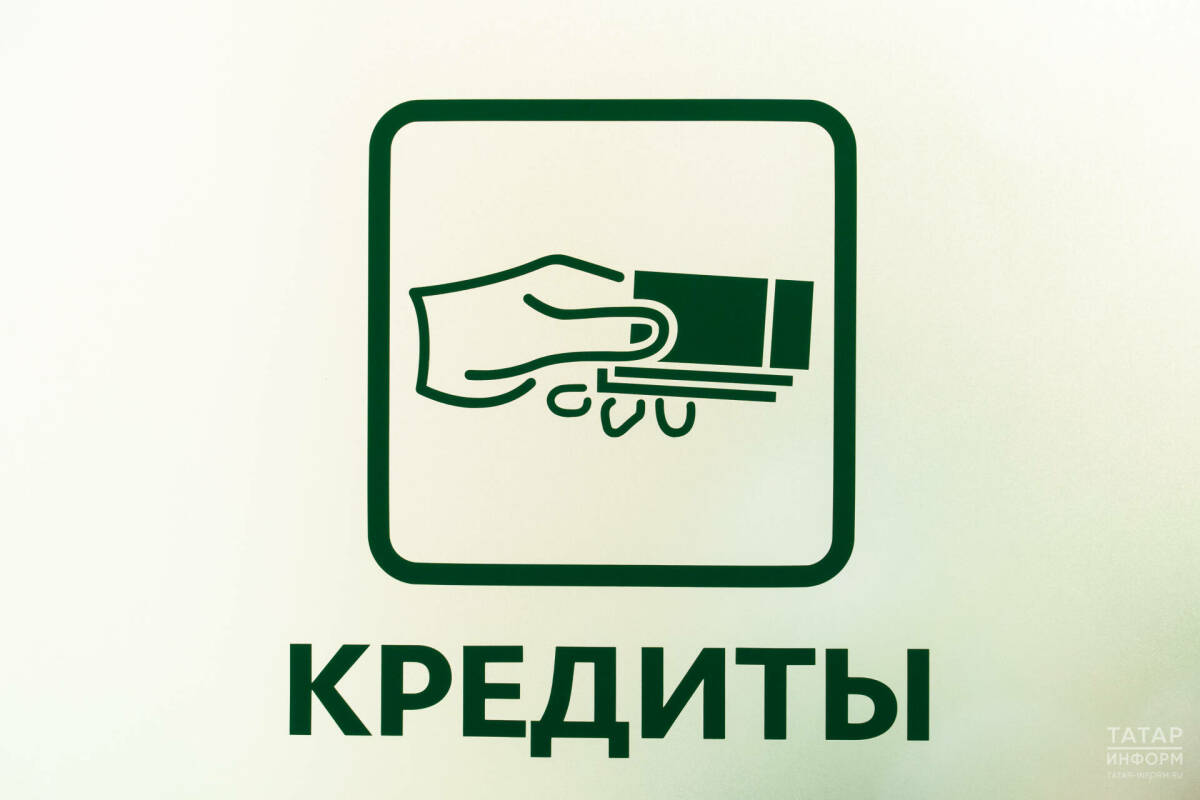 В Госдуме объяснили, почему оформить самозапрет на кредиты через МФЦ можно с сентября