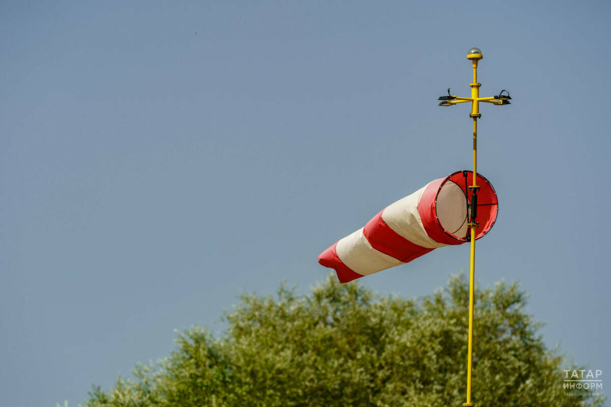 В Татарстане в рамках нацпроекта спроектируют первый ветропарк