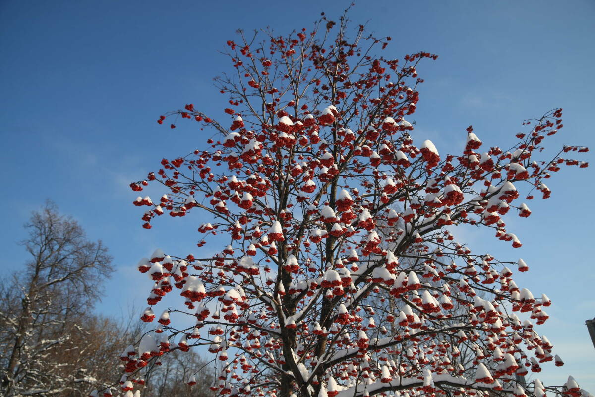 В Татарстане местами пройдет небольшой снег