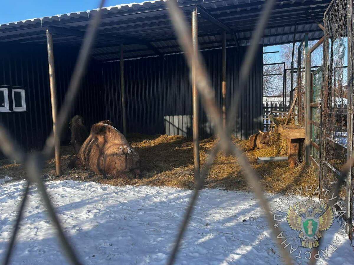 Прокуратура Татарстана обнаружила нарушения в работе эко-отеля «The Камский»