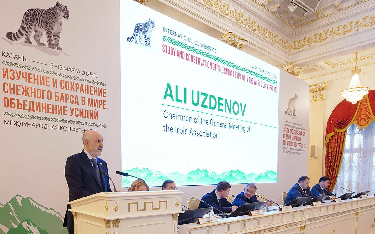 «Снежному барсу – быть!»: Минприроды поддержало инициативу РТ по сохранению диких кошек