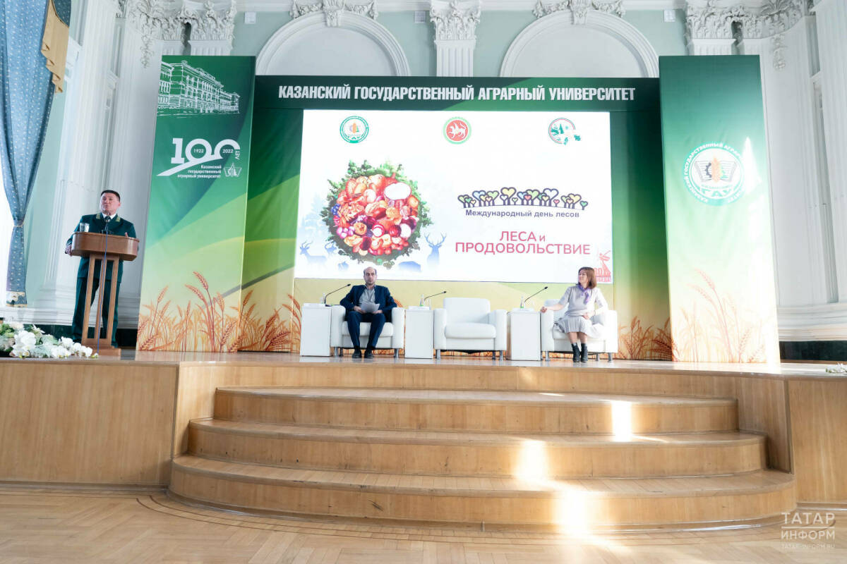 Играют важную роль в сохранении биобаланса: в Татарстане отметили День лесов