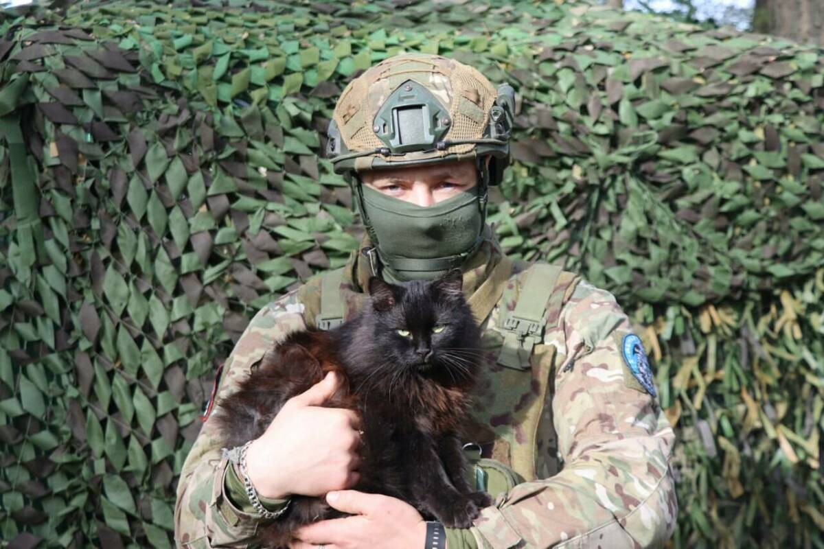 «Они тоже из десанта»: как питомцы помогают бойцам СВО на передовой