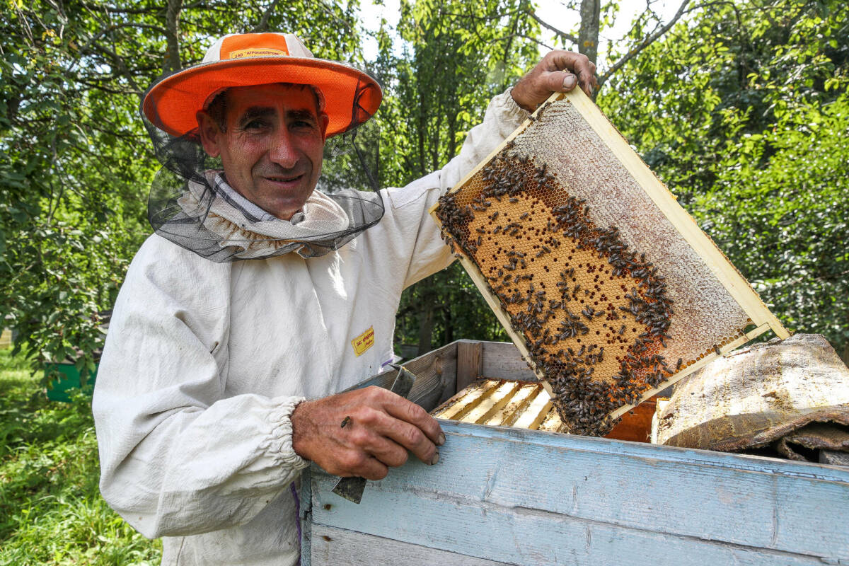 В Татарстане заработал «Портал пчеловода» для защиты пчел от химикатов