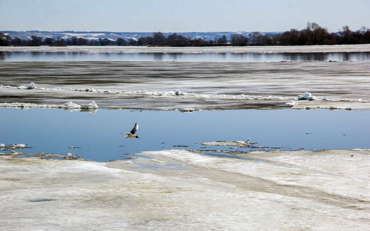 «В предыдущие века такого еще не видели»: наполнится ли Волга и каких ждать последствий