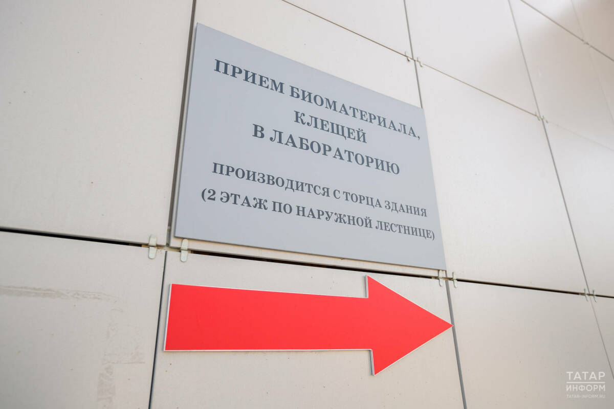 В Татарстане зафиксировали первые шесть укусов клещей в этом сезоне