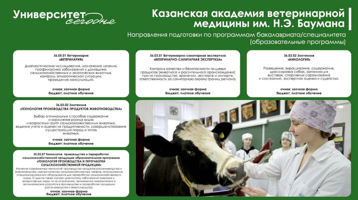 «Стать евроазиатским центром»: в чем смысл реформы аграрного образования в Татарстане