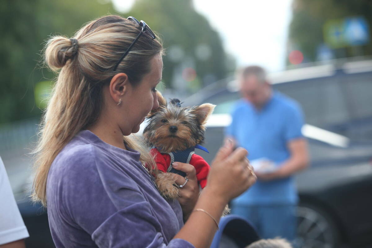 Минниханов подписал закон о штрафах за отсутствие регистрации собак