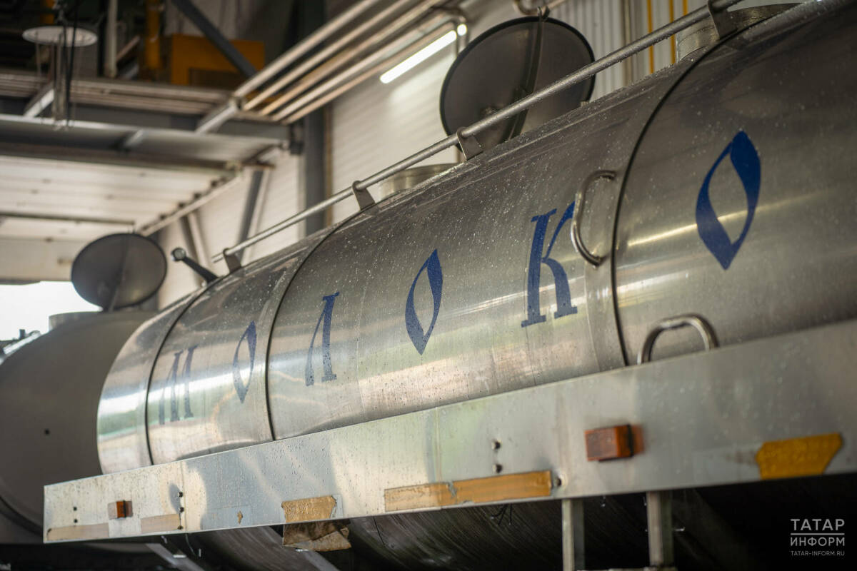 В Татарстане производство молока выросло почти на 4%