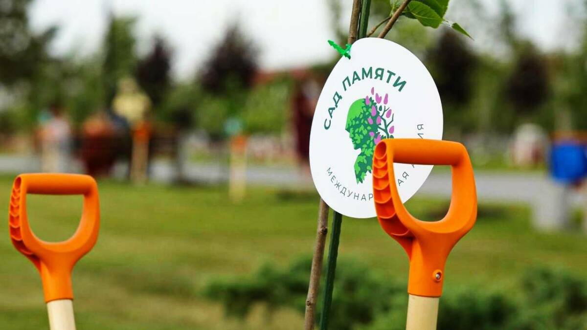 В честь 80-летия Победы Нижнекамск украсят 80 туй и кедров