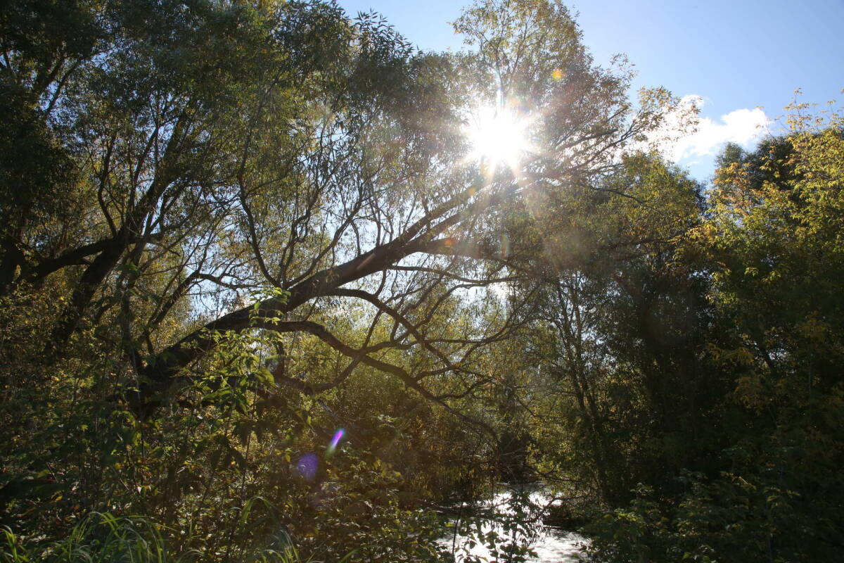 В Татарстане в четверг ожидается до +21 градуса днем