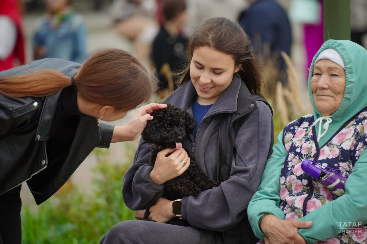 Кинолог объяснил, почему необходимо разговаривать со своей собакой