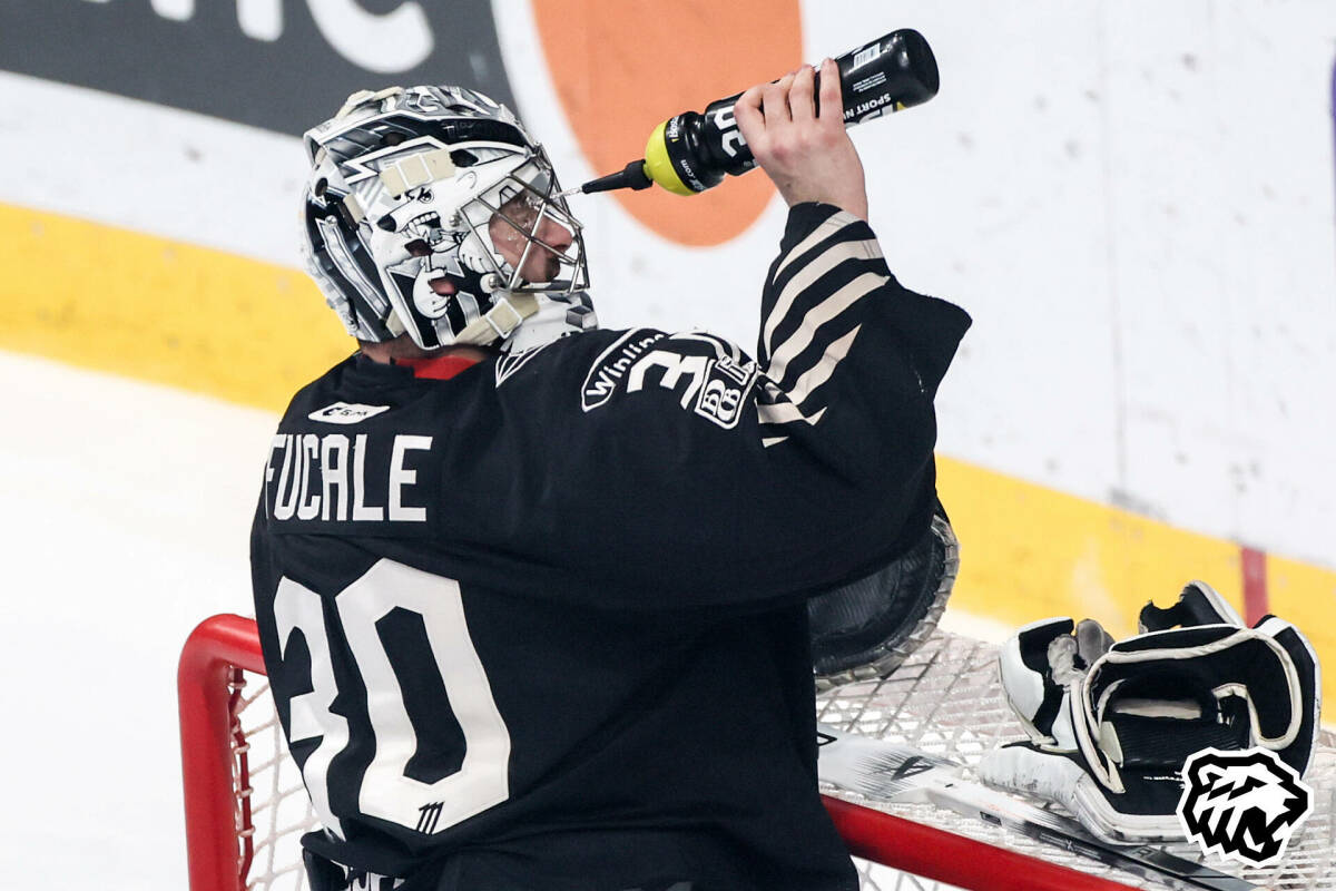 «Трактор» и «Динамо» проведут сегодня первый матч полуфинальной серии