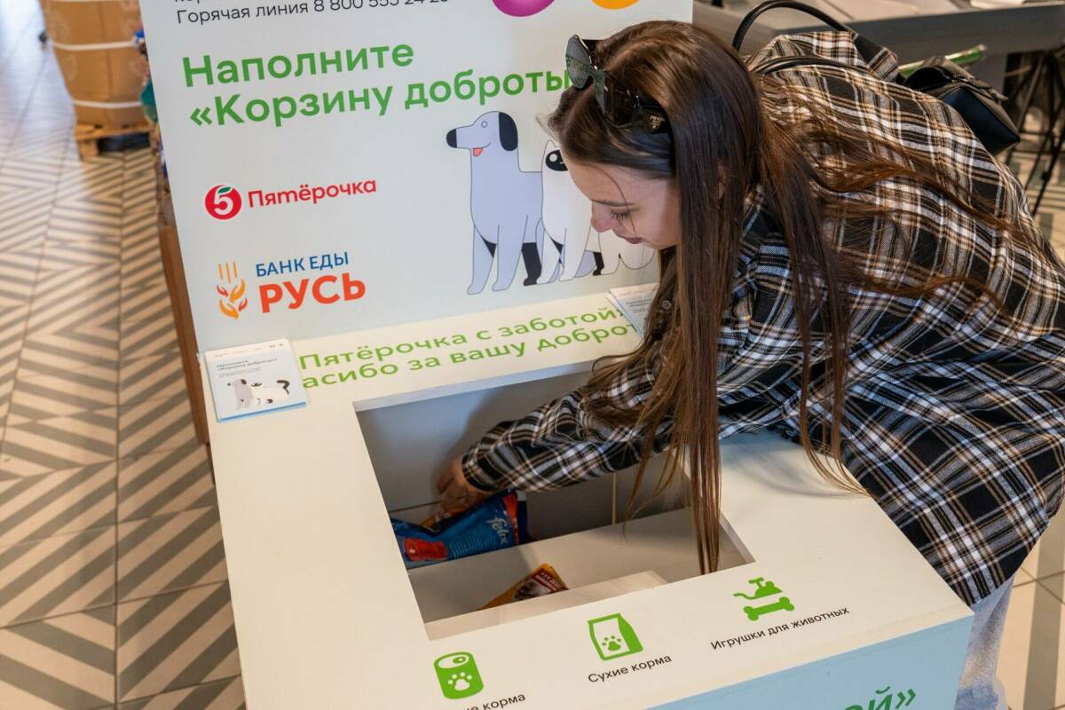 200 новых магазинов и 20 приютов: в России вдвое увеличился сбор корма бездомным животным