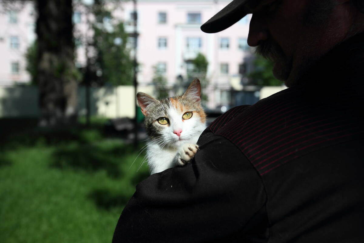 Тренды аналитики апреля: перепись бездомных животных, инвесторы без плана и труд в мае