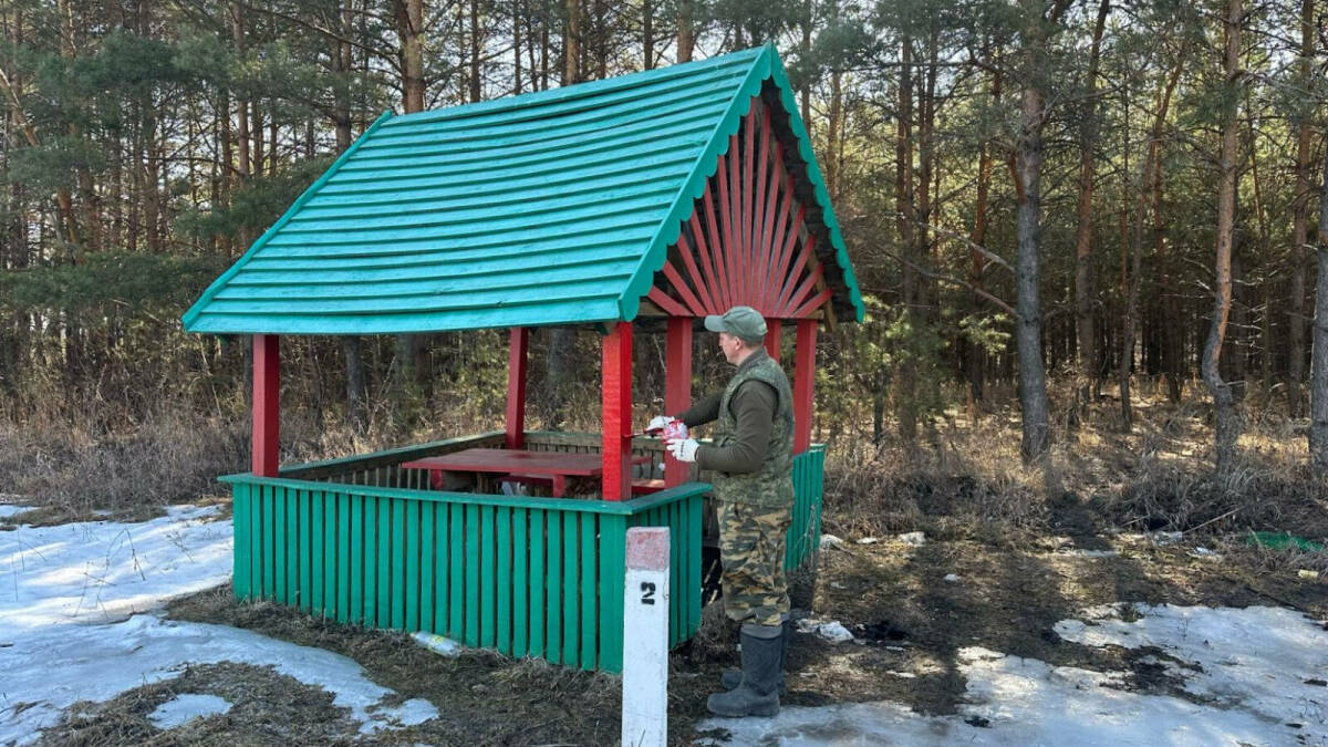 В Татарстане начали по нацпроекту заниматься противопожарным обустройством лесов