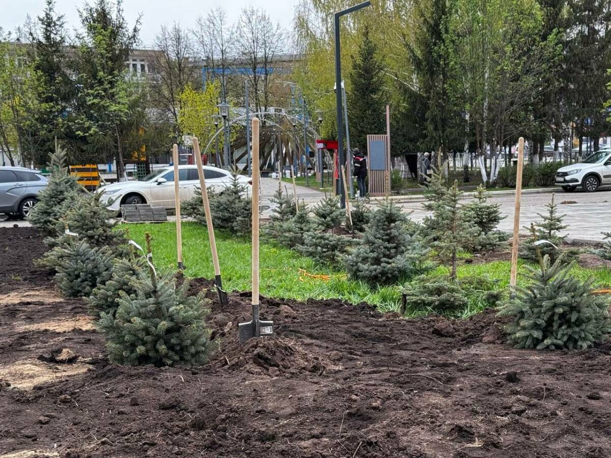 В Менделеевске высадили 80 елей в память о Героях