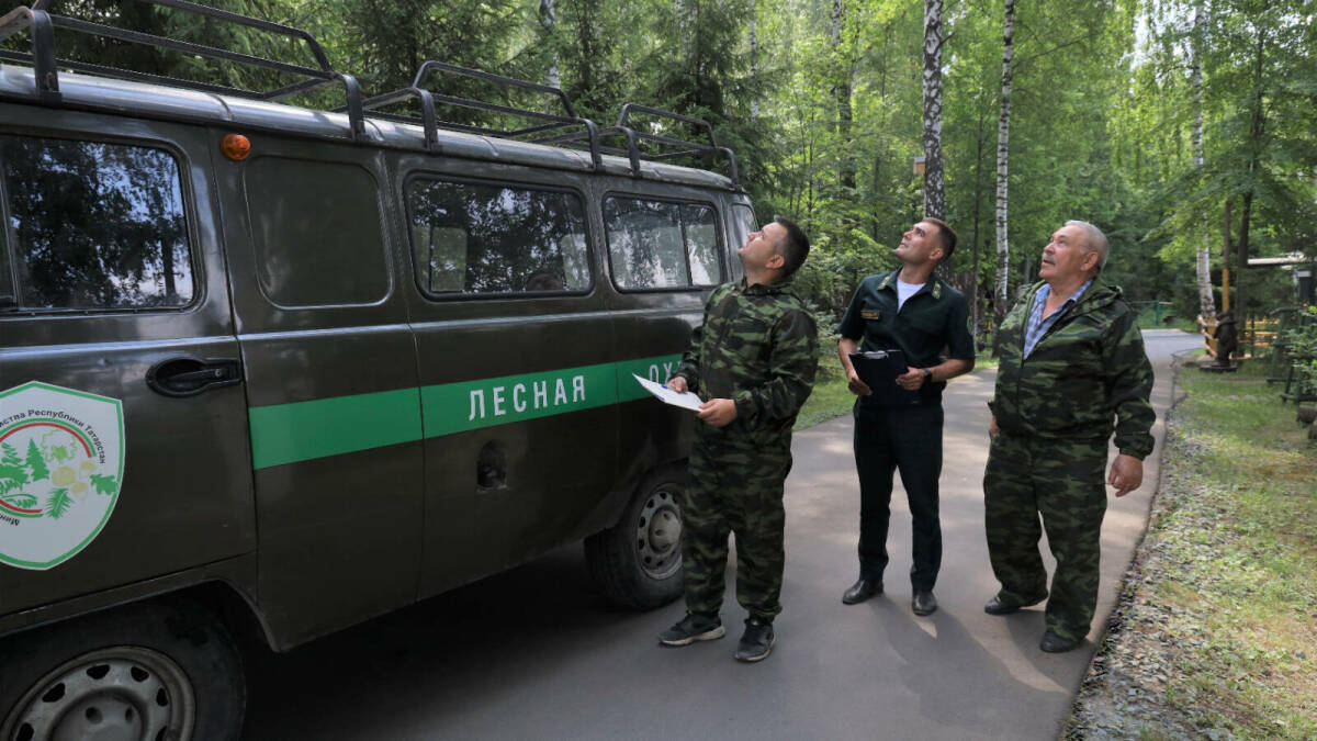 В РТ составили 35 протоколов за нарушения правил нахождения в лесах и их использования