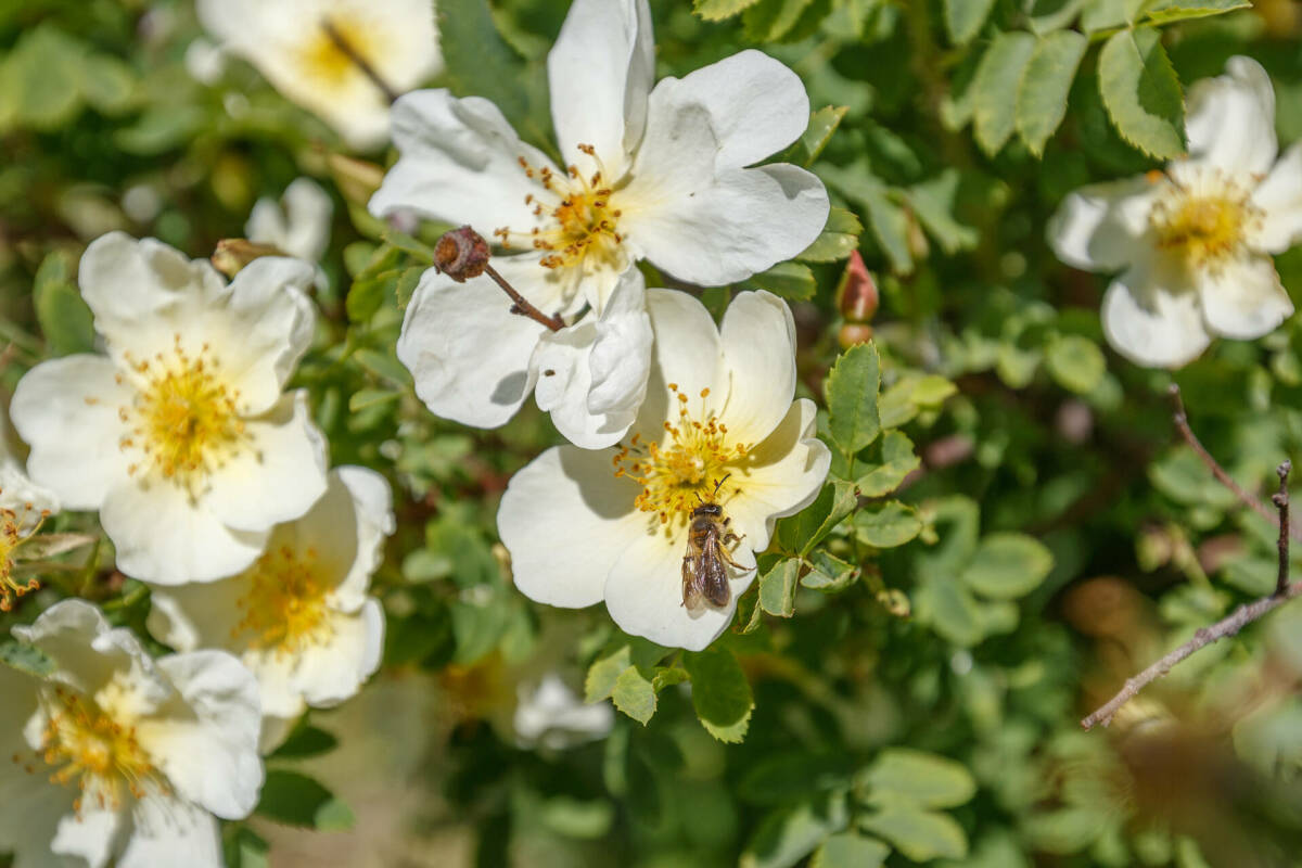 В Татарстане 23 мая ожидаются облачность, порывистый ветер и до +21 градуса
