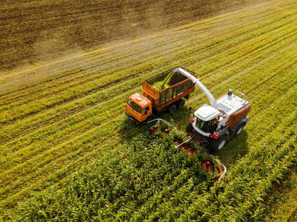 RSM F 2000: лучший выбор для кормозаготовки