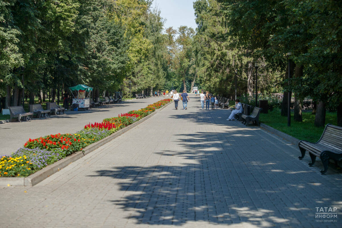 Жителей Татарстана 29 мая ждут солнечный день и до +31 градуса