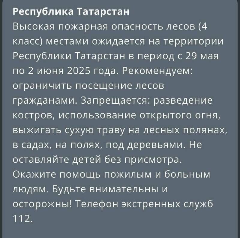Татарстанцев предупредили о высокой пожароопасности лесов