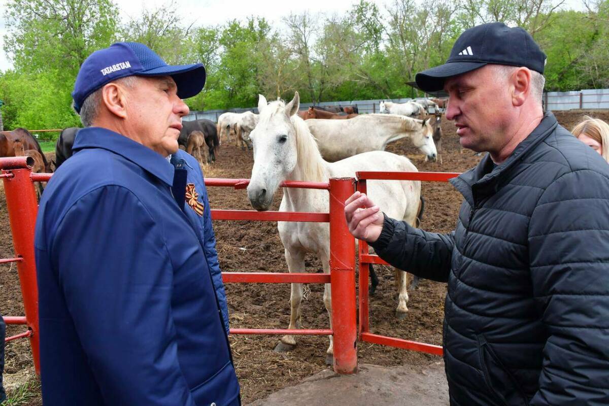 Минниханов посетил ферму, которая поставляет лошадей для кавалеристов Ким Чен Ына