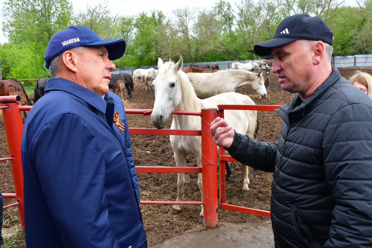 Рысаки для Ким Чен Ына: Минниханов посетил Татарский конезавод, покоривший Корею