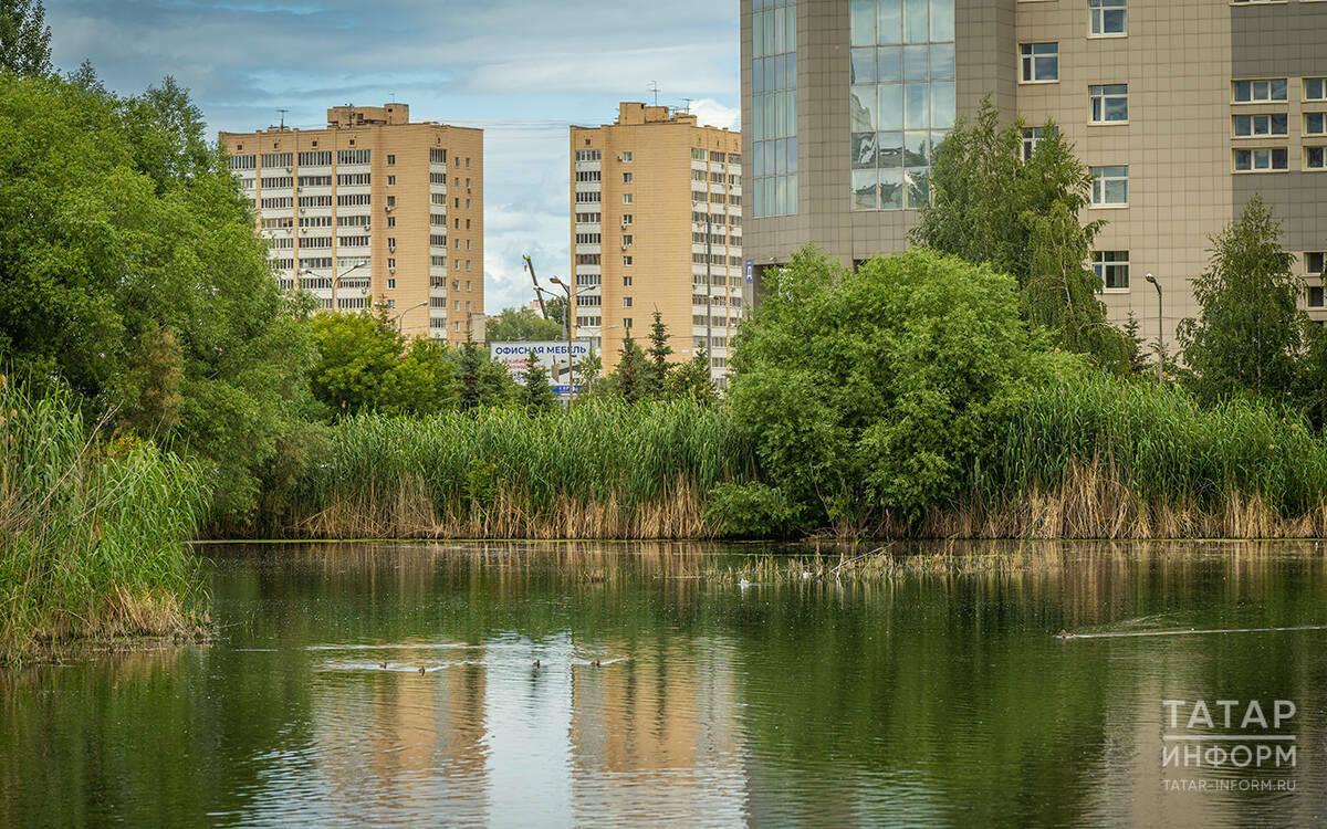 Ученый из Академии наук РТ рассказал о влиянии застройки на экосистему озер