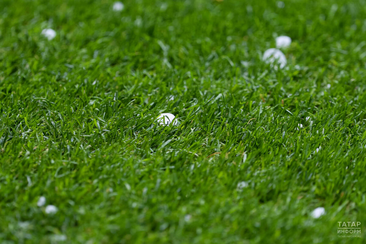 Жителей РТ предупредили о граде и сильном ветре в ближайшие сутки