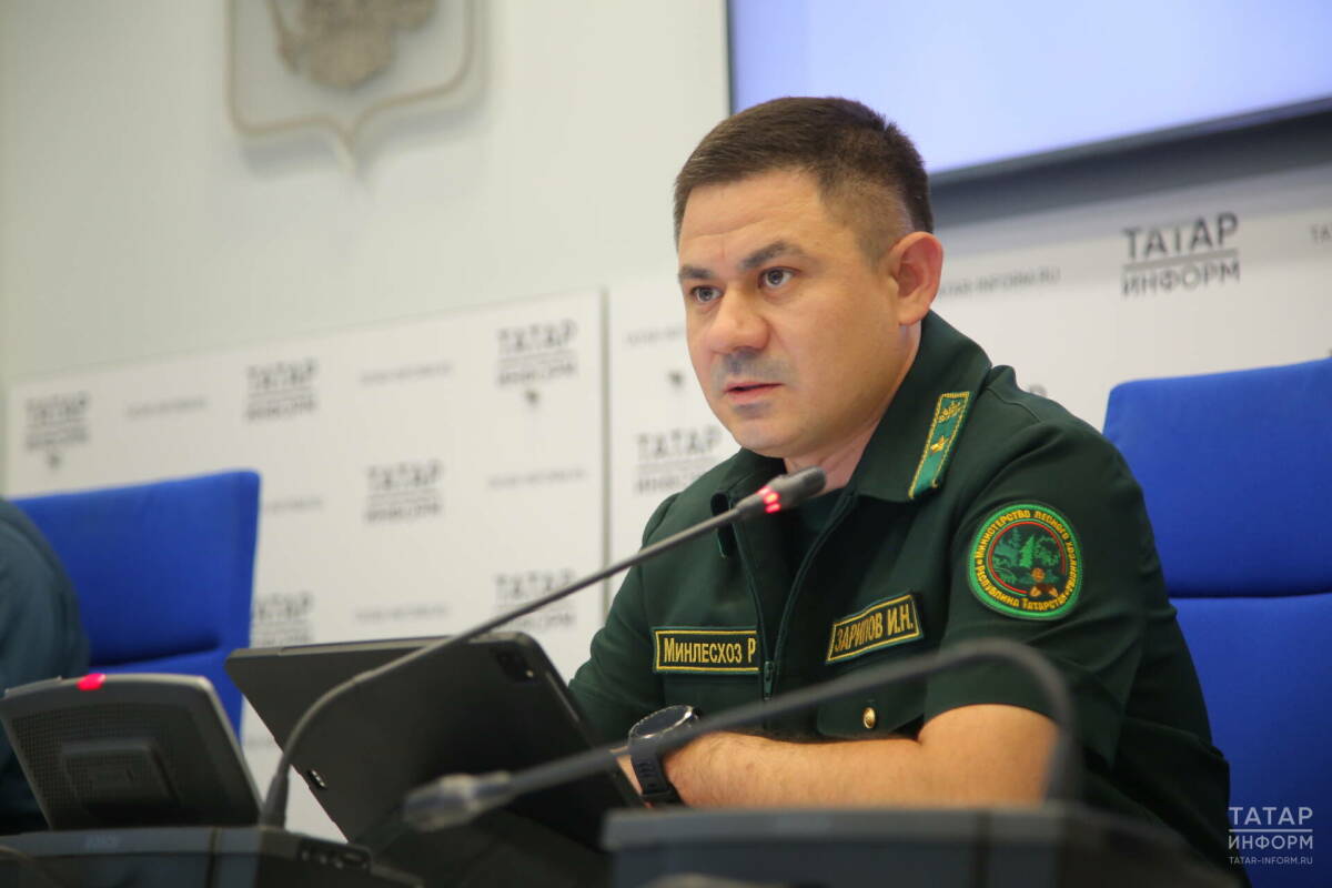 «С сухостоя огонь может перекинуться на лес»: татарстанцам напомнили об опасности пожаров